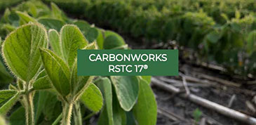 Carbonworks RSTC 17